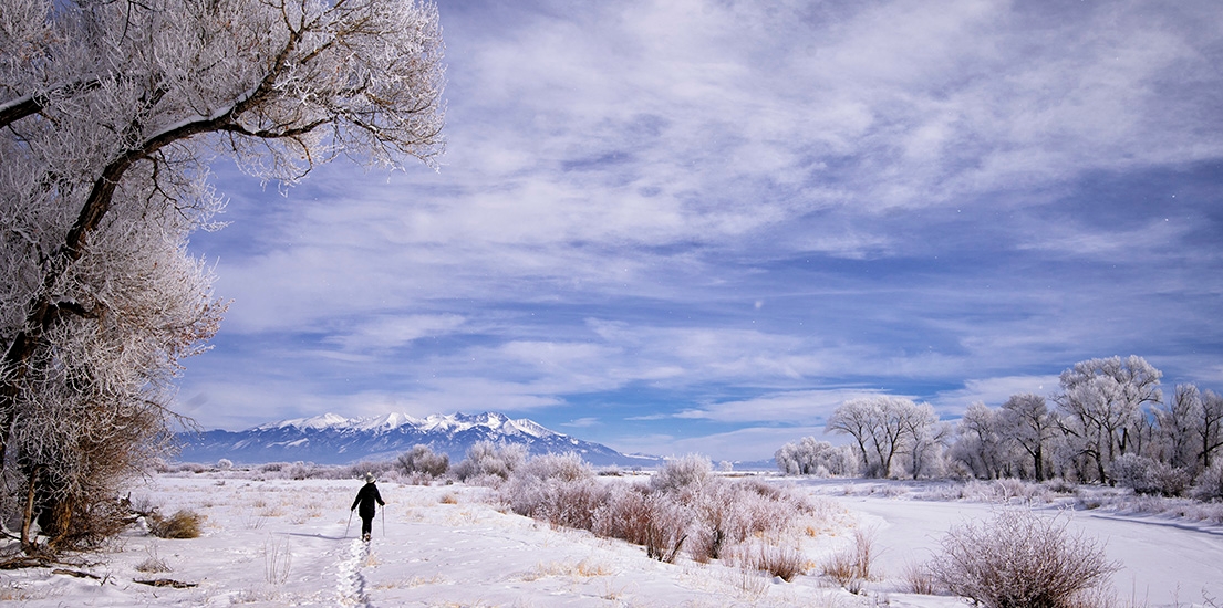 Escape to the Great Outdoors: Your Guide to Colorado's Alamosa State Park