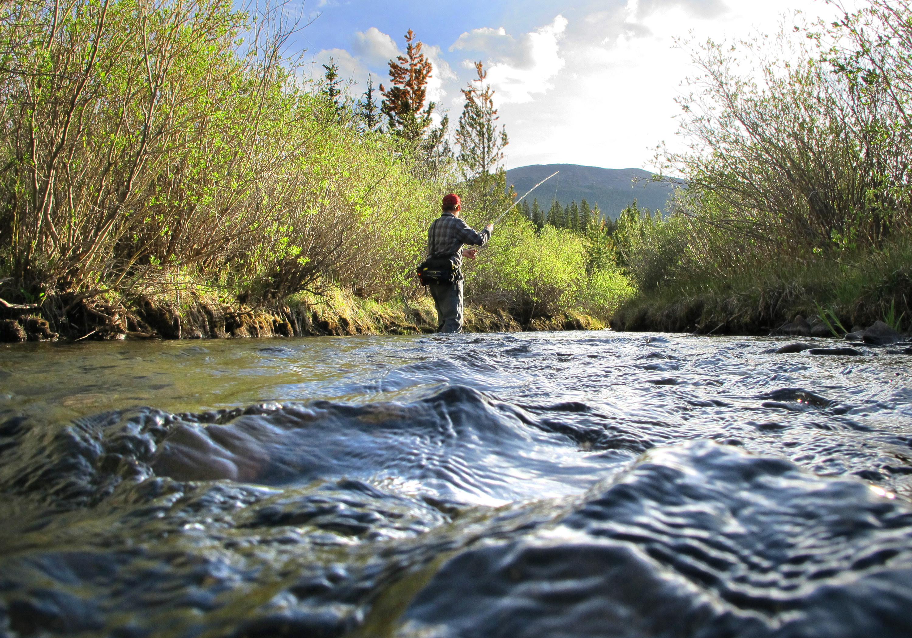 Photo by Gary Nichols, Courtesy of Beartooth Capital  