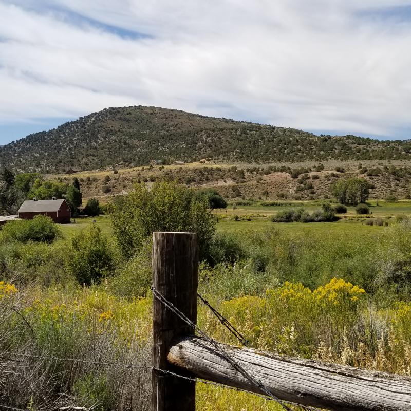 Ridgway Inholding, Brush Creek Valley Ranch and Open Space. Photo courtesy of Courtney Bennett