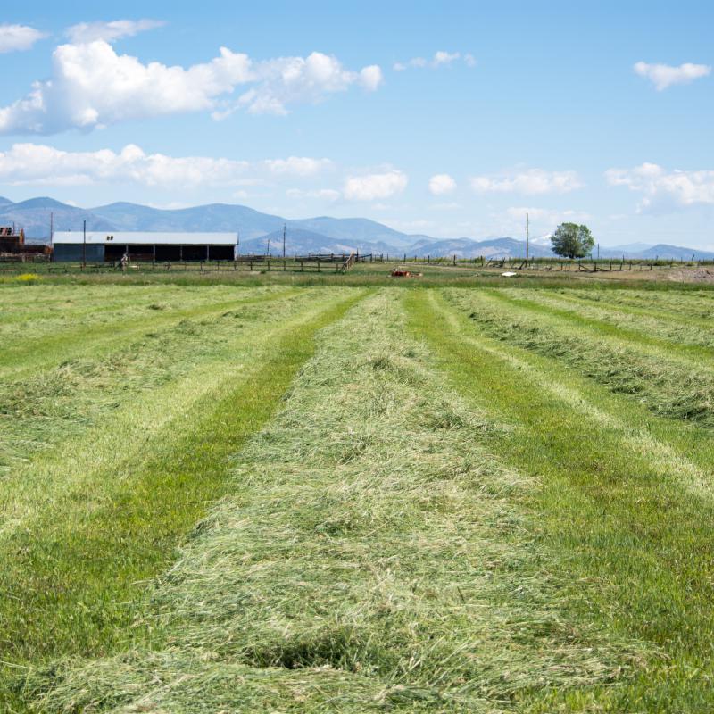 Encantada Ranch. Photo by Ryan Scavo, courtesy of Rio Grande Headwaters Land Trust