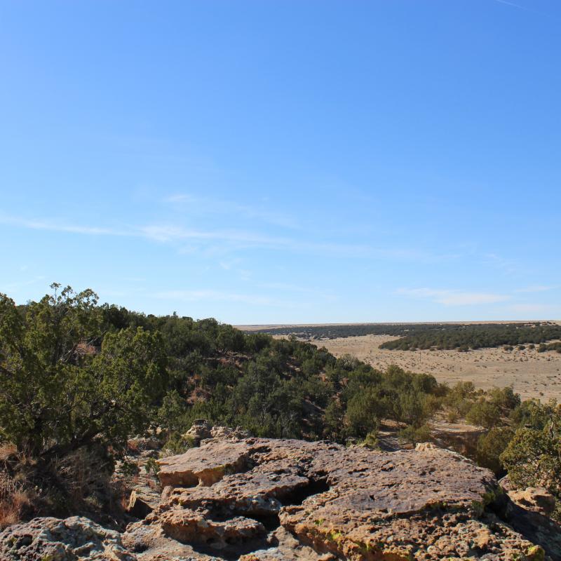 Swanson Ranch - Southeast Colorado Prairie Canyonlands Conservation Project