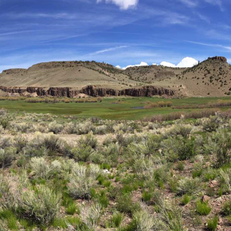 Photo of Hill Family Ranches by Maggie Hanna, Colorado Cattlemen's Agricultural Land Trust