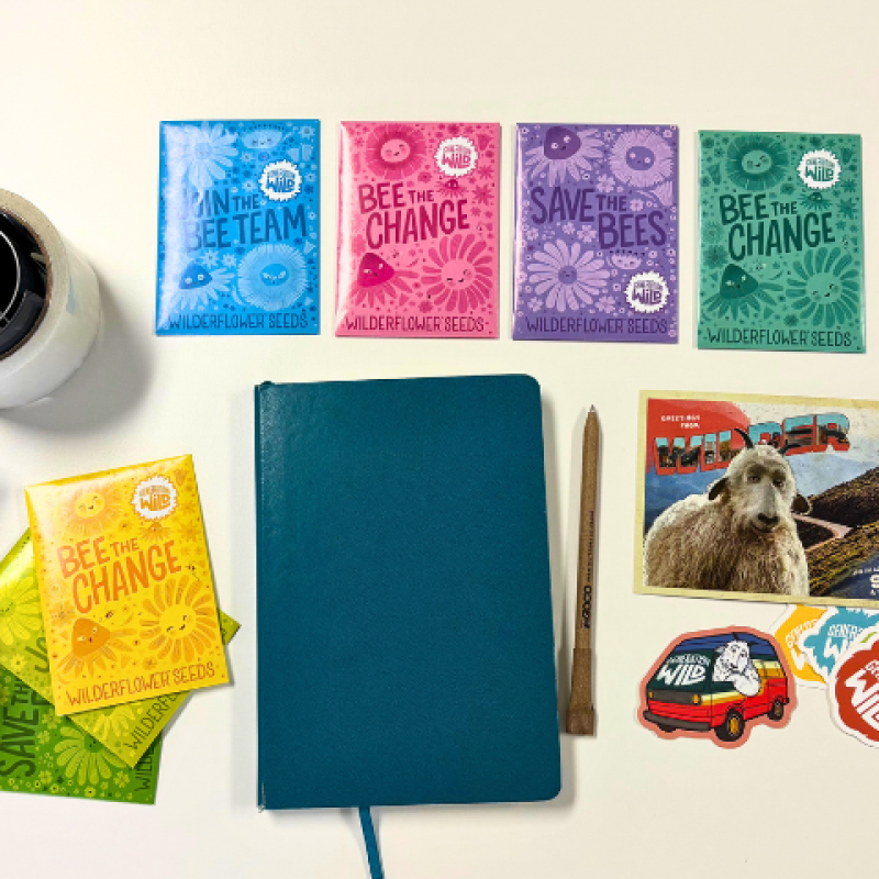 An array of marketing materials and work supplies. 