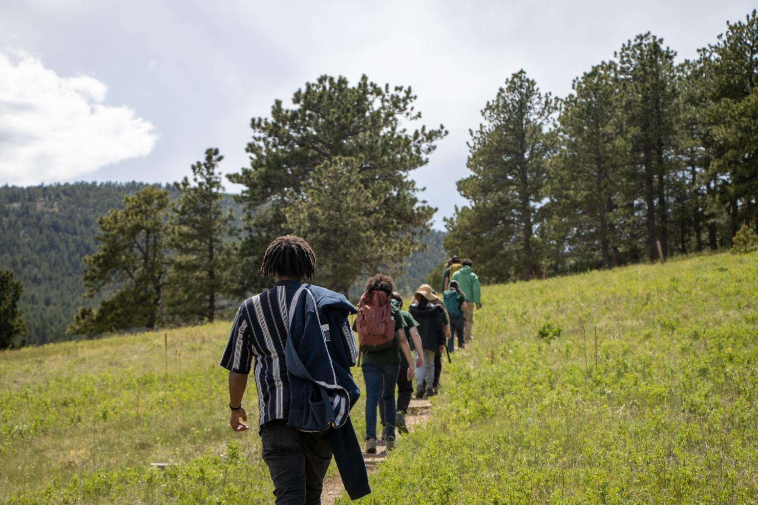 Photo taken from the back of a line of youngsters walking along a trail in a green meadow. 