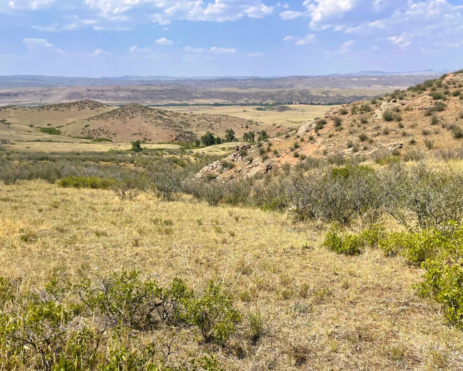 Livermore Conservation Area. Photo by Meegan Flenniken.