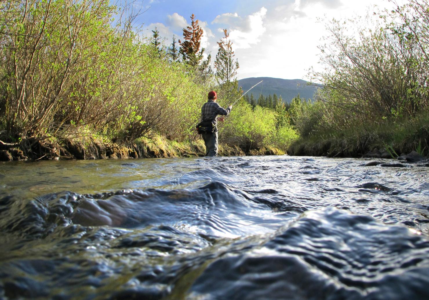 Photo by Gary Nichols, Courtesy of Beartooth Capital