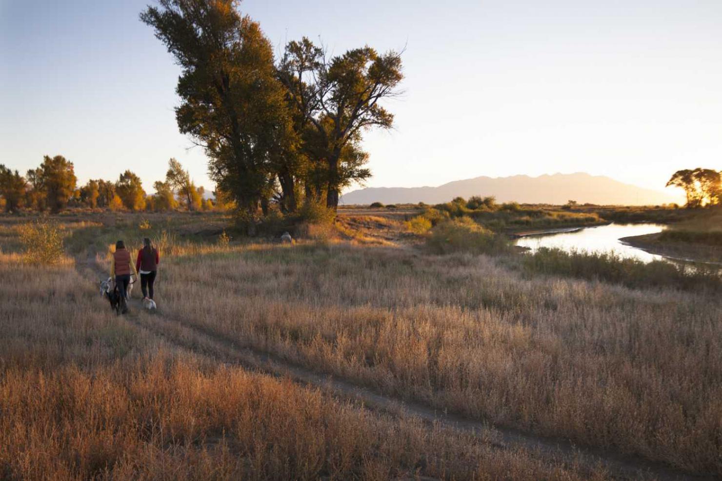 Alamosa Riparian Park | Great Outdoors Colorado