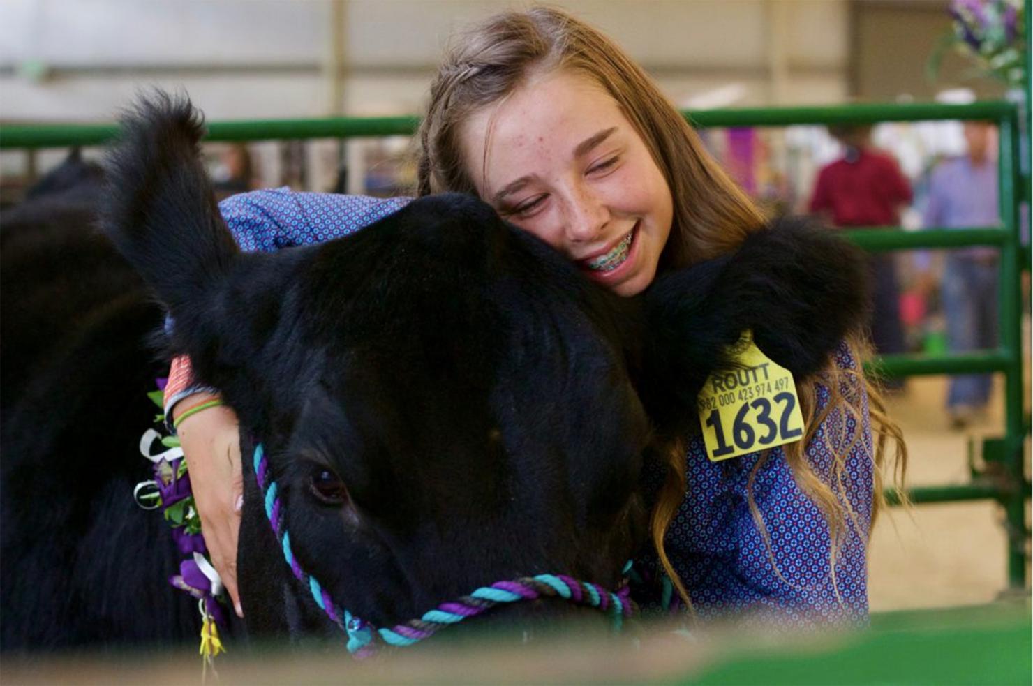 Routt County Fairgrounds. Photo by Derek Maiolo, courtesy of Steamboat Pilot & Today.