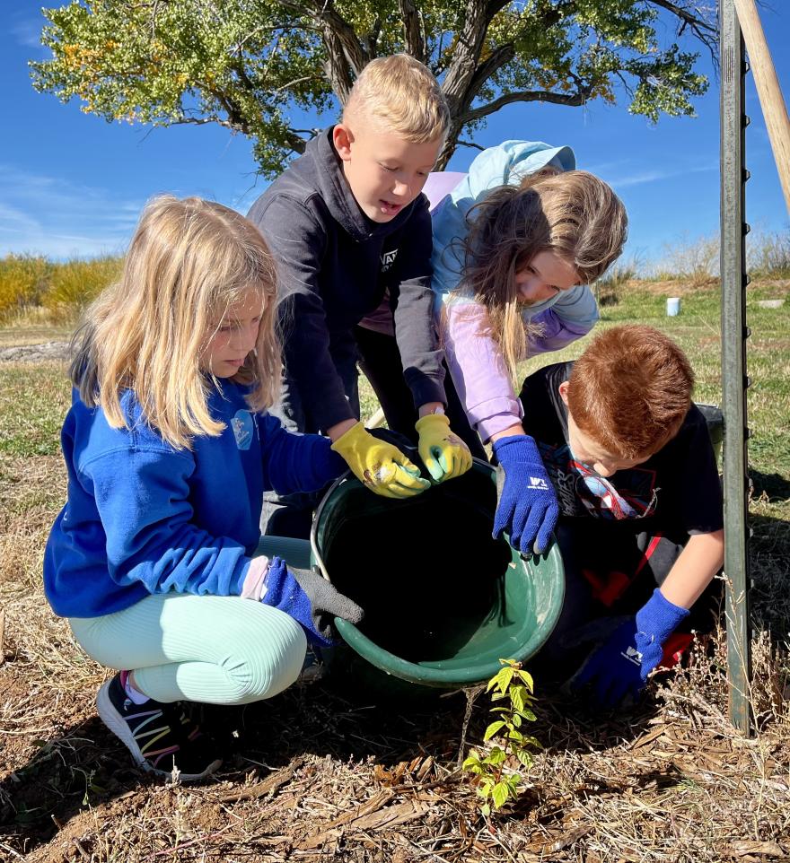 Children pouring something out of a bucket outside. 