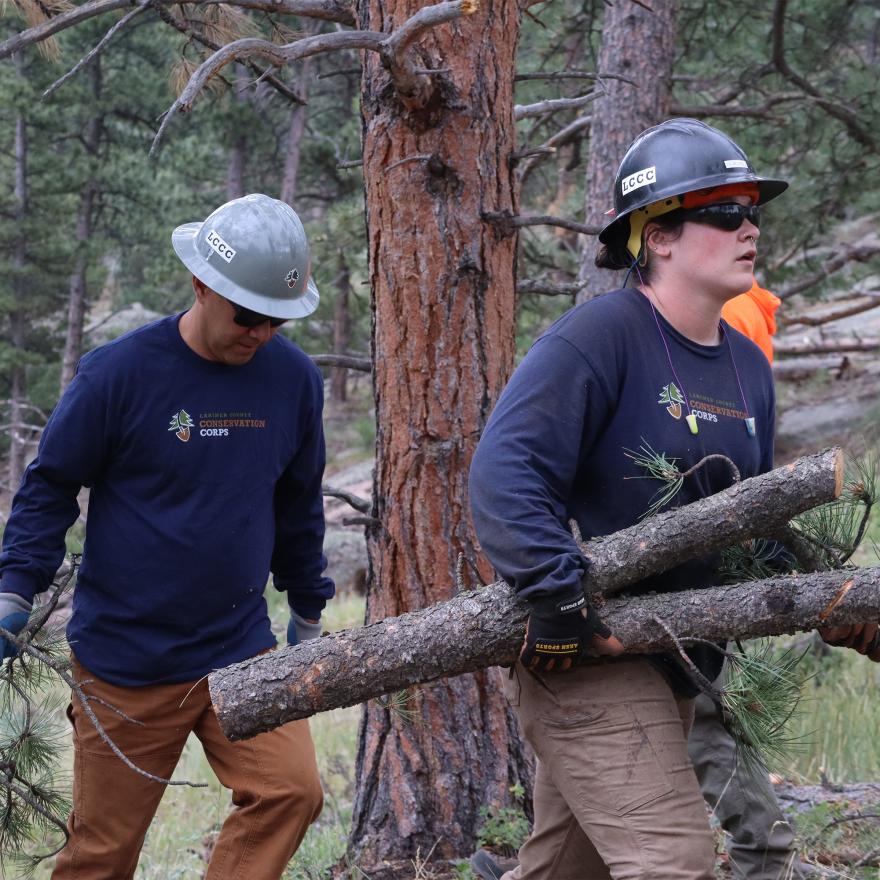 Photo by Larimer County Conservation Corps.