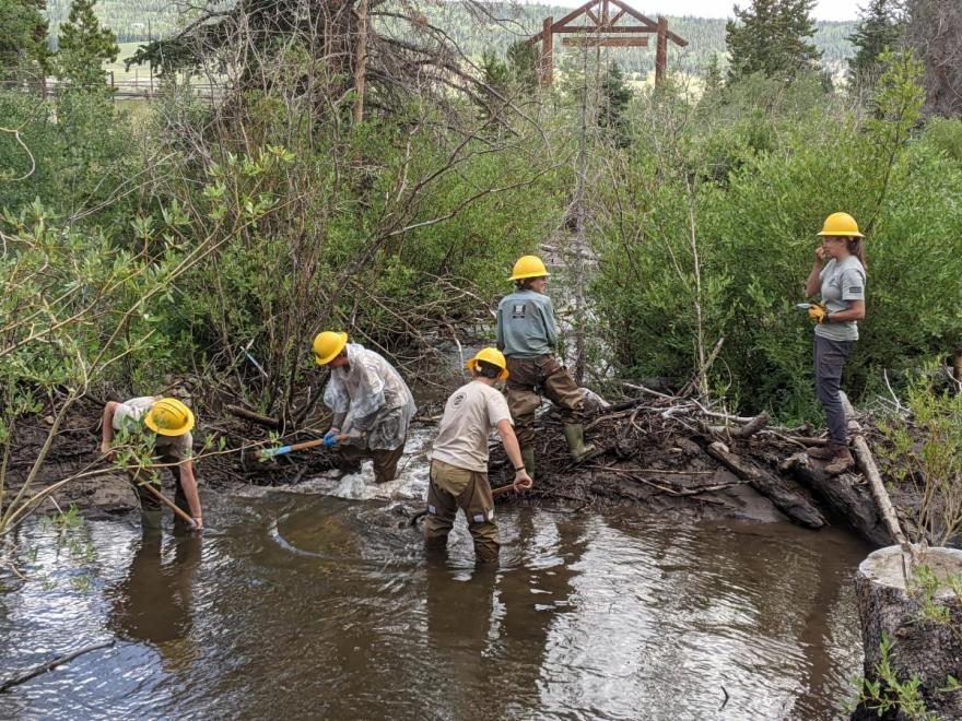 Conservation corps conduct stewardship work at Sacramento Creek Ranch in Fairplay, Colo.