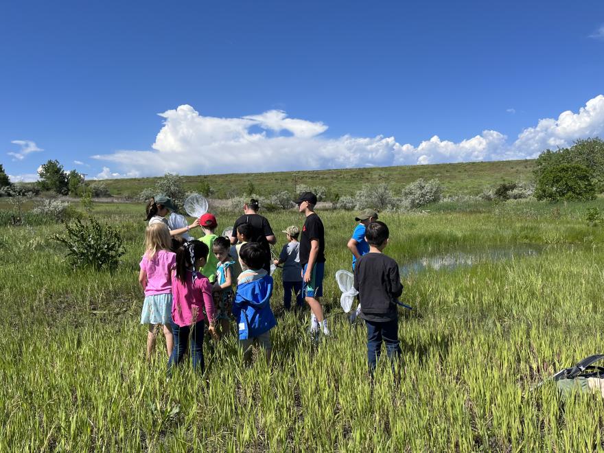 Susana and Jr Rangers toad hunting. Photo courtesy of City of Westminster